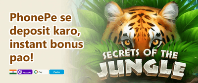 Refer a Friend Mega Bonus promotion